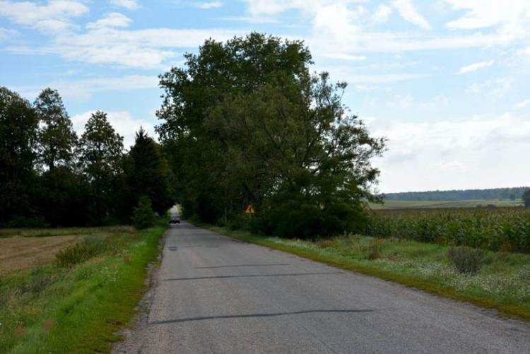 6 milionów na drogi w Powiecie Włocławskim. Rozbudują drogę Osięciny - Wieniec - Włocławek