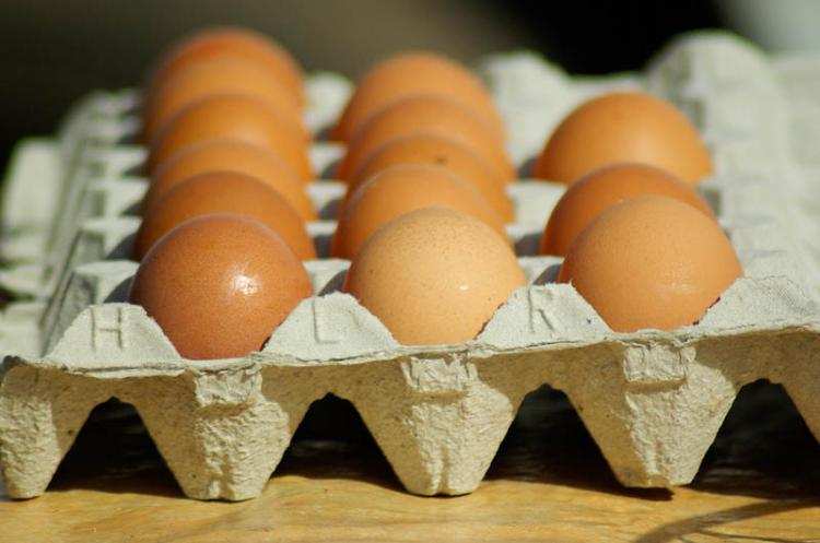 Biedronka wycofuje część jaj ze sprzedaży. Wszystkiemu winna salmonella …