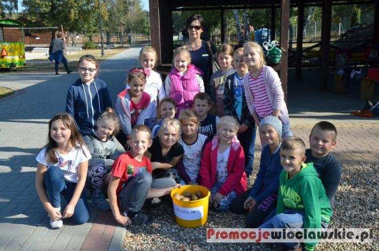 Święto Ziemniaka w Gminie Baruchowo [ZDJĘCIA]