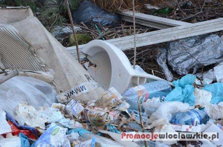 Wielkie sprzątanie we Włocławku już w piątek. Co planują?