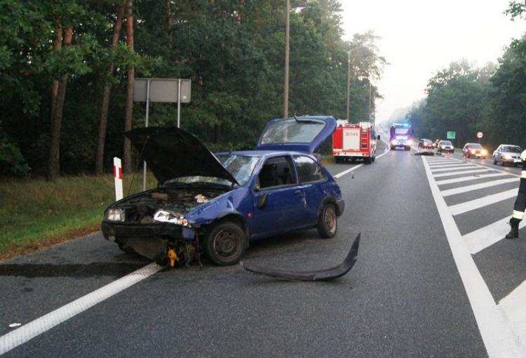 Wypadki ze zwierzętami w regionie! Czy to już plaga łosi na naszych drogach? [ZDJĘCIA]