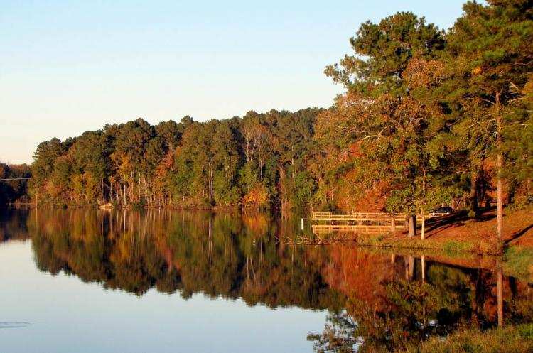 Tragedia nad stawem. Nie żyje 39-latek