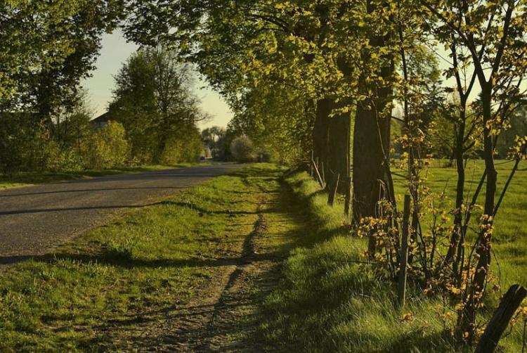 Zwłoki mężczyzny znalezione na poboczu drogi pod Brześciem Kujawskim