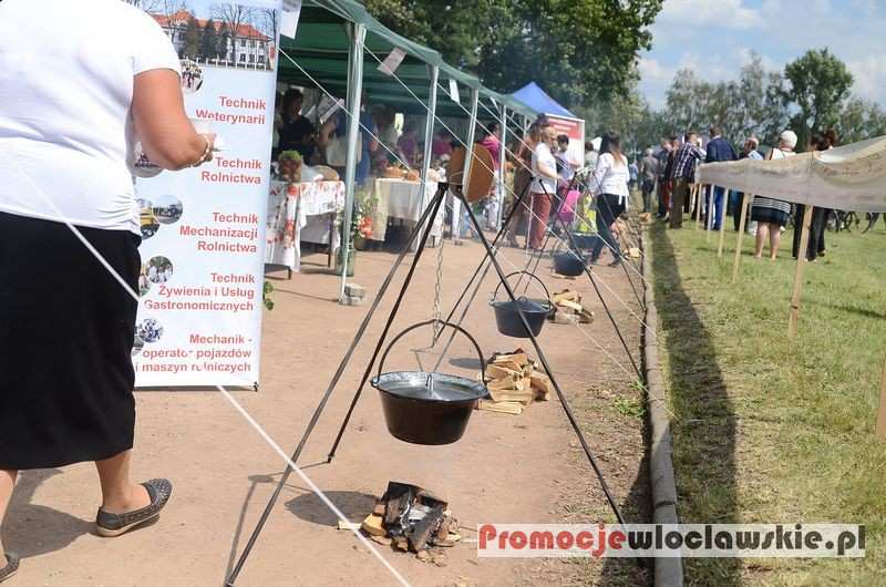 Święto Żuru Kujawskiego 2016 Brześć Kujawski cz. 1