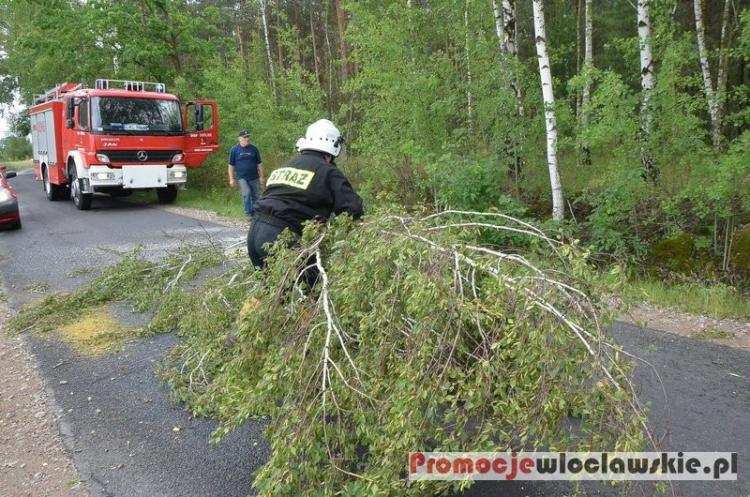 Nawałnica nad Włocławkiem i regionem [ZDJĘCIA] Jakie straty?