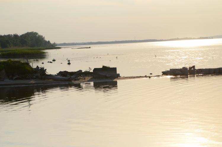 Tragedie w regionie: 3 ofiary śmiertelne! Topielec, poturbowany przez byka i wypadek na drodze