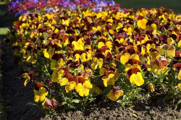 Plac Wolności zmieni się na wiosnę. Rozpoczęły się już prace …