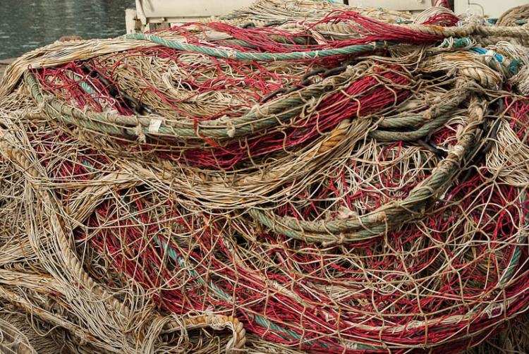 Postanowili zrobić zasadzkę. Sami wpadli „w sieci”