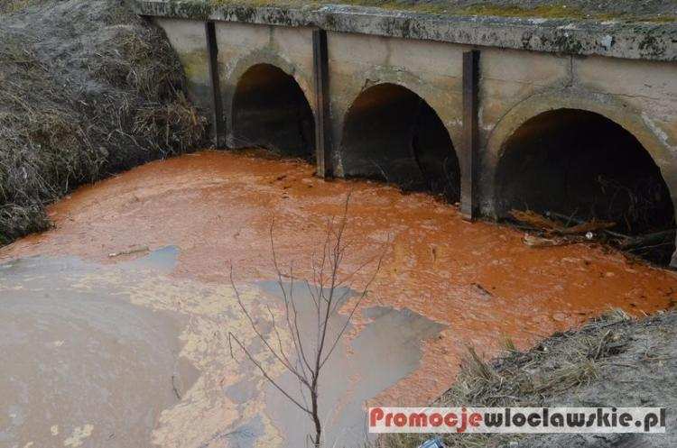 Jedna z rzek powiatu  włocławskiego zmieniła kolor. Jest skażona? [FOTO]