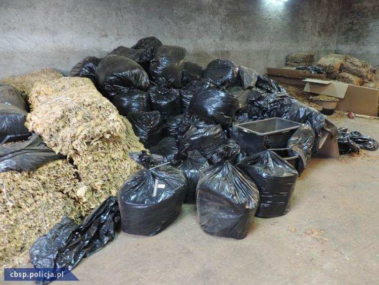 7 ton tytoniu: CBŚP likwiduje nielegalną fabrykę papierosów! Zatrzymano 10 osób [VIDEO]
