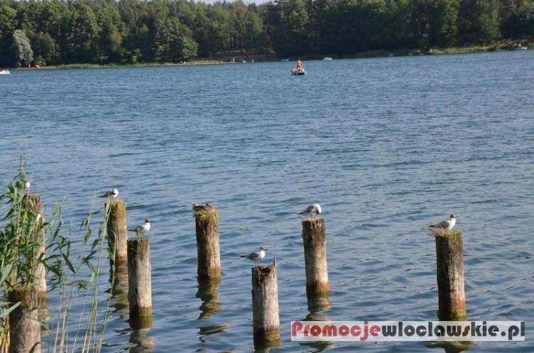 Wyciągnęli 88-latka z wody. Był zziębnięty i nie miał siły się poruszać