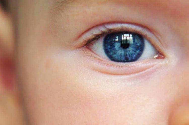 Trzylatek samotnie spacerował po ulicach Włocławka