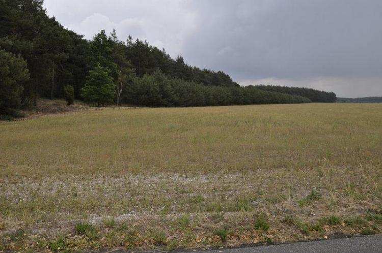 Zwołali sesję nadzwyczajną. Zabiegają o pomoc dla rolników