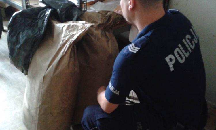 Mieli ze sobą dwa worki tytoniu. Nie wiedzieli skąd on się tam wziął