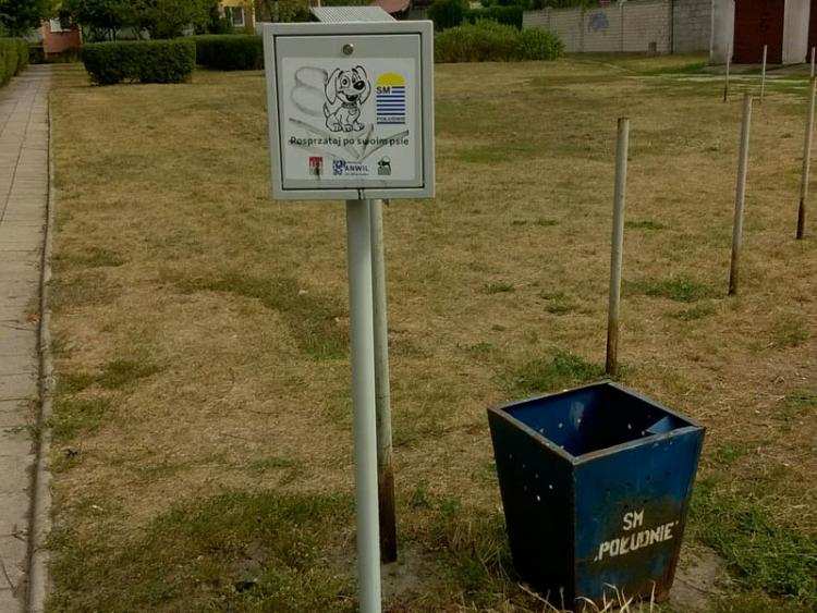 Psi problem we Włocławku. Apel do mieszkańców miasta