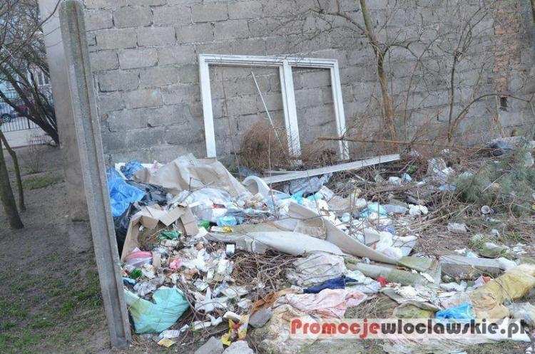 Posprzątali kolejne ulice we Włocławku