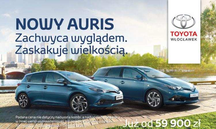 Rynkowy sukces hybryd Toyoty