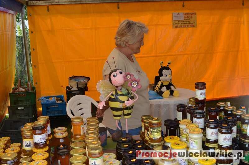 Miodowe Lato w Zarzeczewie 2015 - Fotorelacja