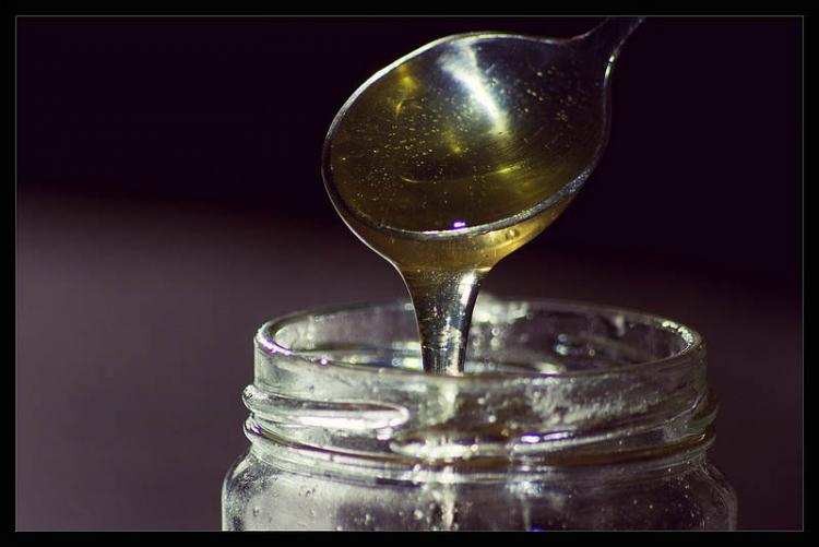 Miodowe Lato w Zarzeczewie. Będzie miód, potrawy miodowe i koncerty