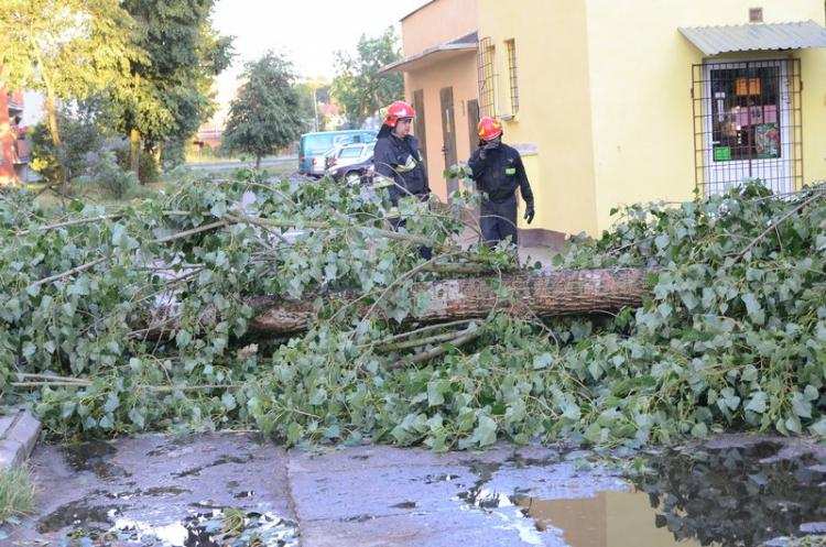 RSO może uratować nawet Wasze życie. Każdy może z niego korzystać