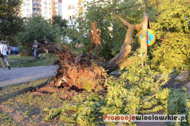 Burza przeszła nad Włocławkiem i powiatem. Nawałnica powyrywała drzewa z korzeniami [ZDJĘCIA]