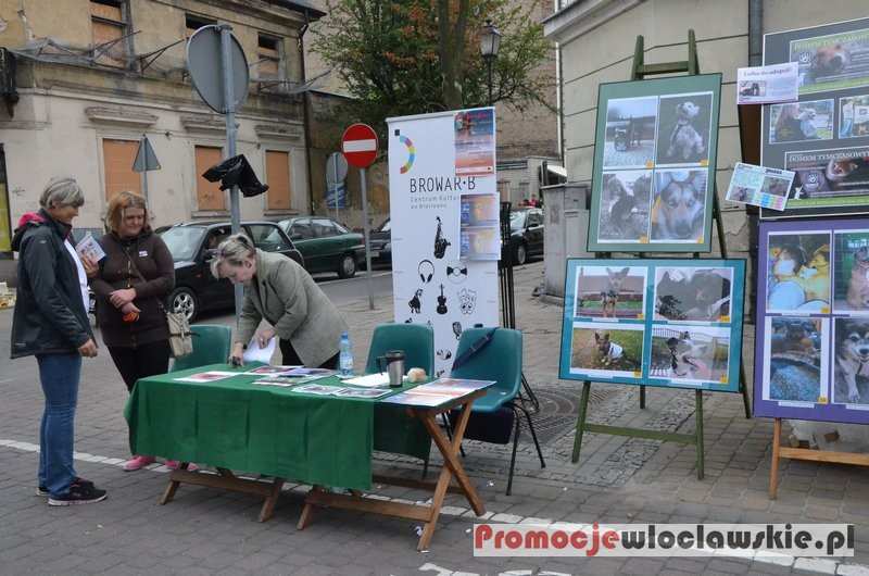 Dni Włocławka 2015: Retrogranie w PWSZ