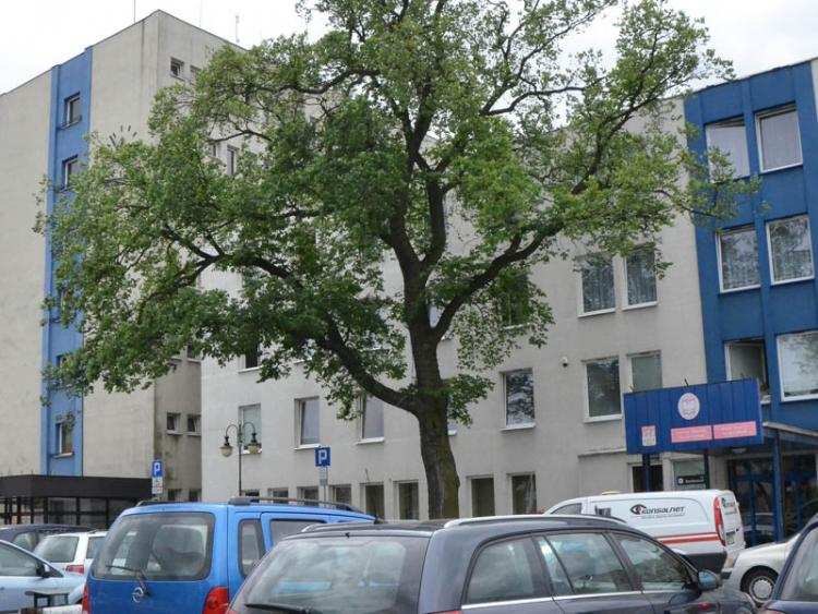 Śmierdzący problem Włocławka. Czy uda się go rozwiązać?