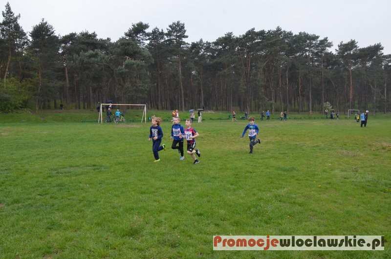 33 Bieg Kujawiaka we Włocławku - 1.05.2015