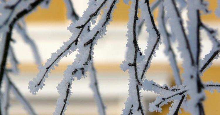 Przymrozi? Sprawdź pogodę na jutro