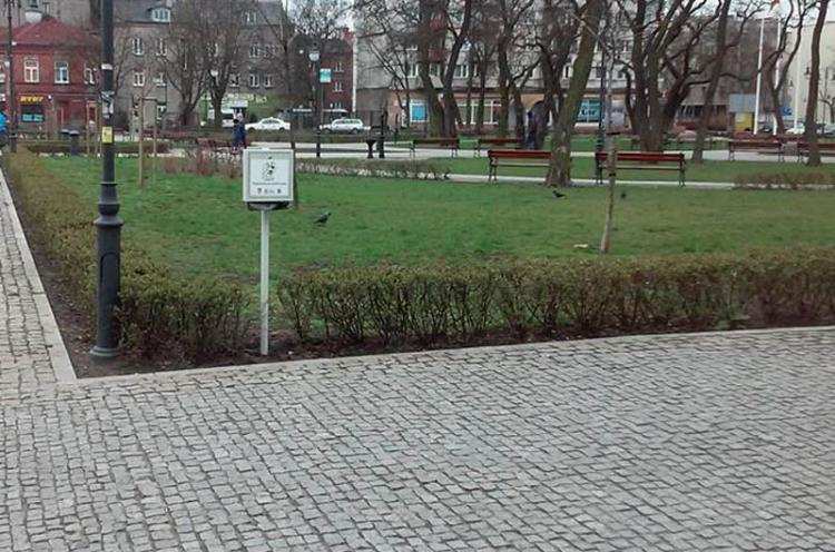 Nowe PSIE STACJE pojawiły się na ulicach Włocławka