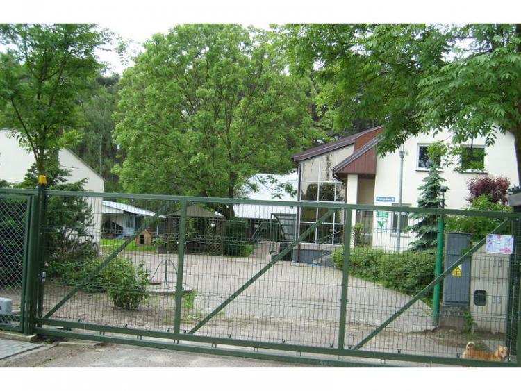 Włocławskie schronisko dla zwierząt będzie miało nowego dyrektora