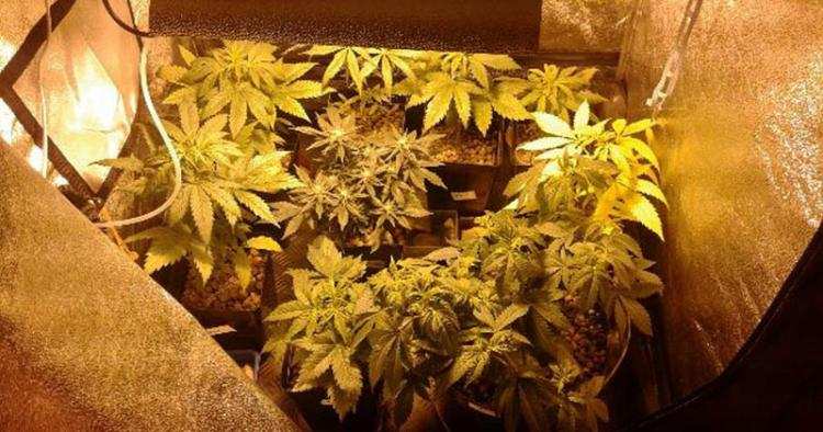 Brawurowa akcja policji. Zlikwidowali dwie ... [VIDEO]