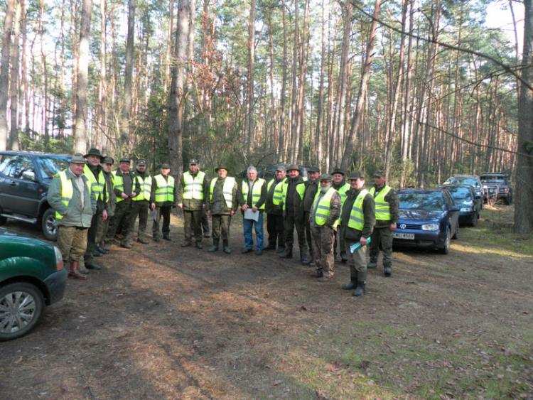„Nikomu nic nie grozi”. W lasach pod Włocławkiem pojawił się wilk