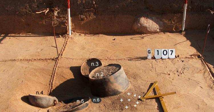 Na ten widok zadrży twoje serce! Już jutro we Włocławku