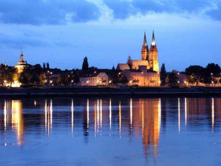 Ataki psów na mieszkańców Włocławka. Jak się skończyły?