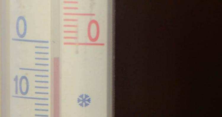 Są pierwsze ofiary mrozów! Z wymarznięcia zmarło…