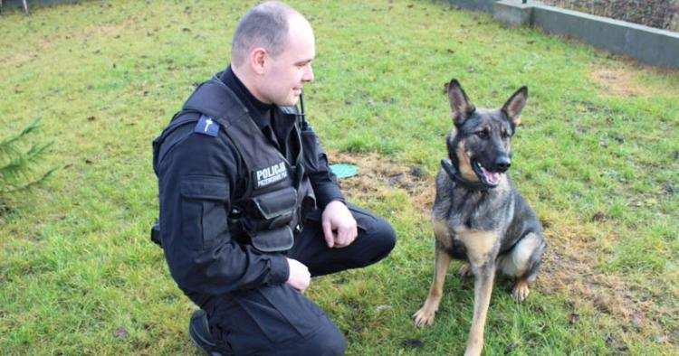 Ten pies to prawdziwy „śledczy”