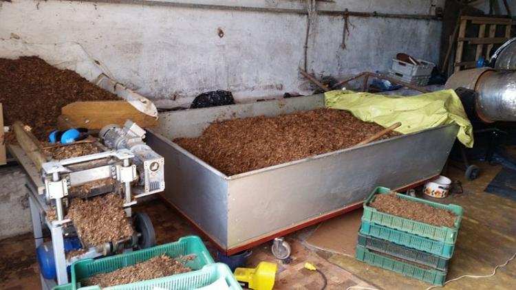 Blisko tona tytoniu w nielegalnej wytwórni [FOTO, VIDEO]