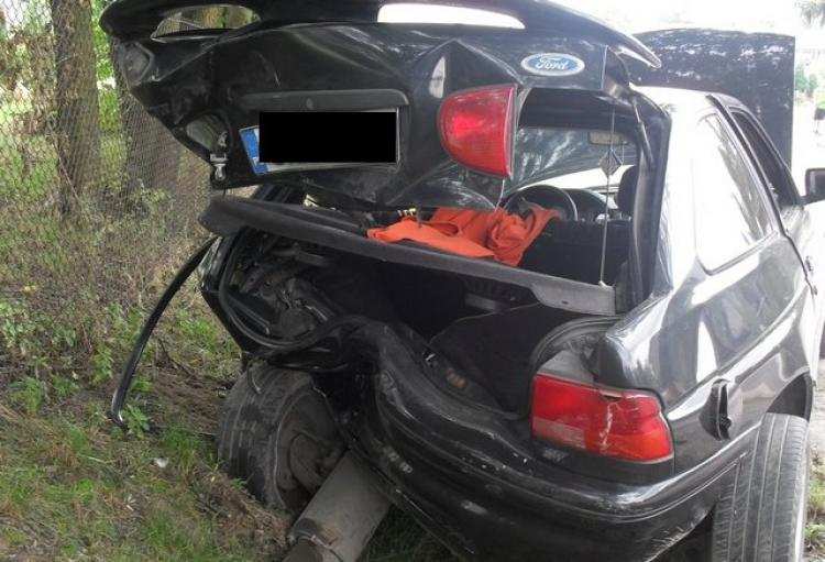 Wylądował na ogrodzeniu posesji [FOTO]