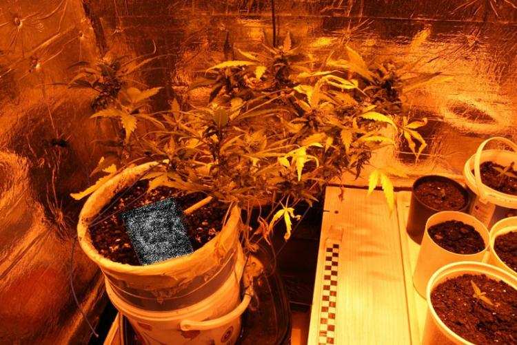 „Wpadli” bo rozpalali grilla