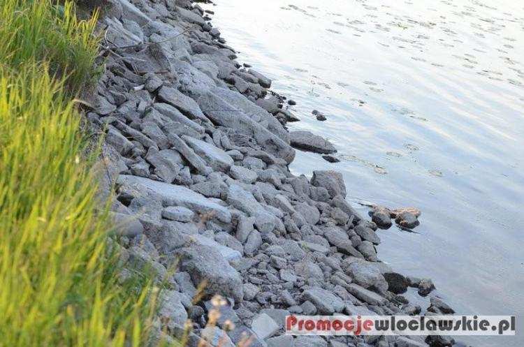 Kłusownicy zatrzymani na gorącym uczynku