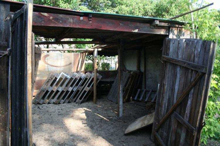 Policyjny pies wytropił sprawców.