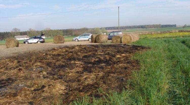 Pies wytropił kobietę podpalaczkę [FOTO, VIDEO]