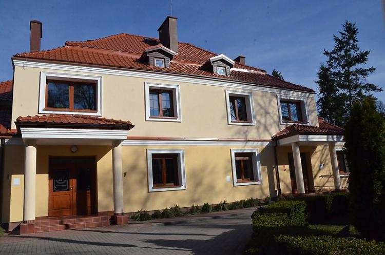 To najdroższe drzewa! Muszą zapłacić prawie 400 tys.zł! Zobaczcie dlaczego?