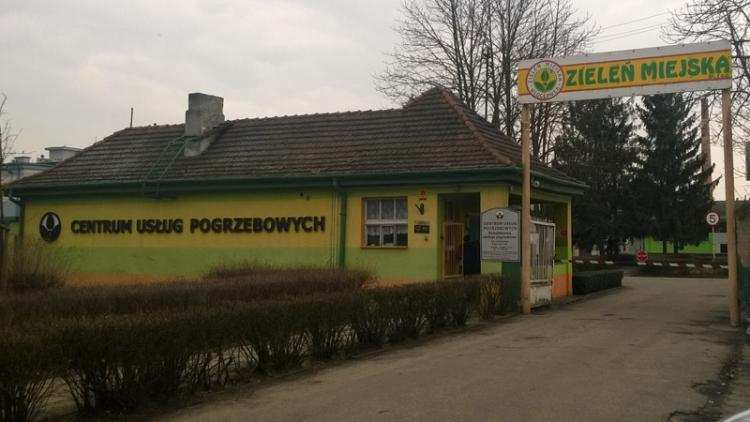 Zieleń Miejska we Włocławku. Czy to dobry pomysł na biznes?