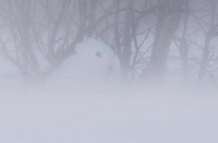 Alarm pogodowy. Ostrzegamy przed zawiejami i zamieciami śnieżnymi
