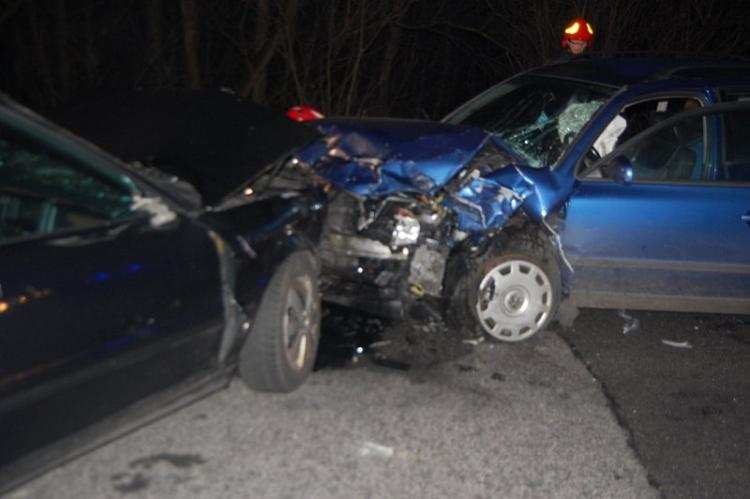Wypadek pod Włocławkiem. Wszystko z powodu łosia [ZDJĘCIA]