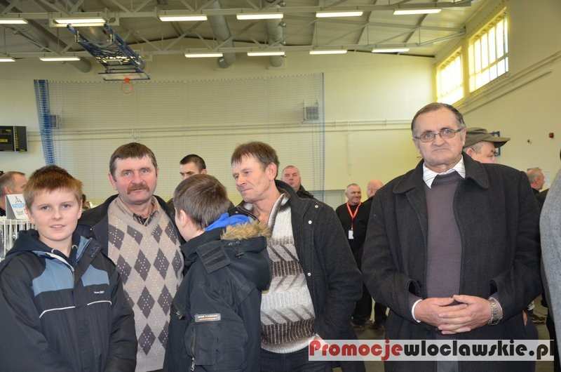Wystawa Okręgowa Gołębi Pocztowych w ZSE we Włocławku cz. 2