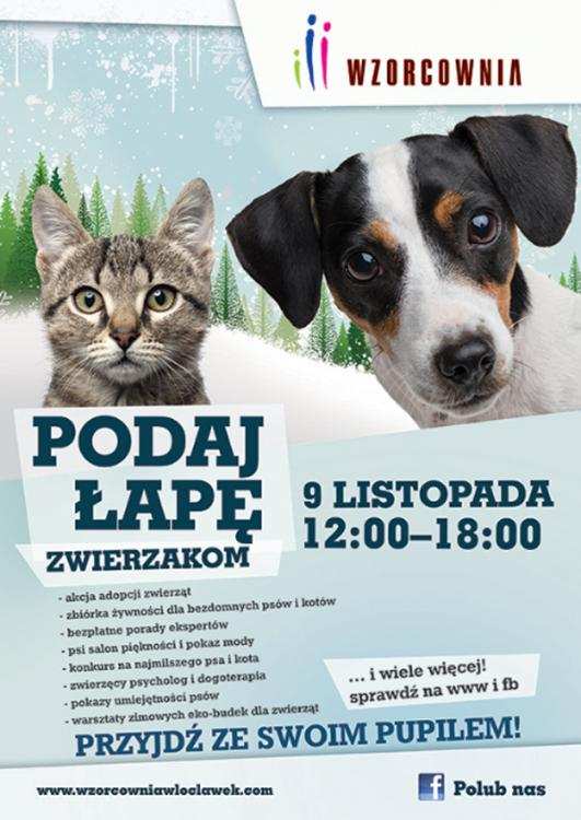 Podaj łapę zwierzakom - Wzorcownia zaprasza !!!