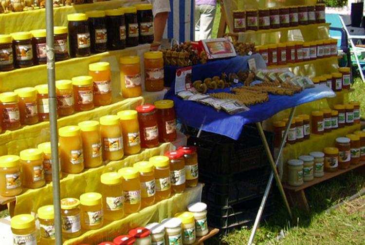 Kujawsko-Pomorskie MIODOWE LATO w Zarzeczewie. Zobacz program !!!